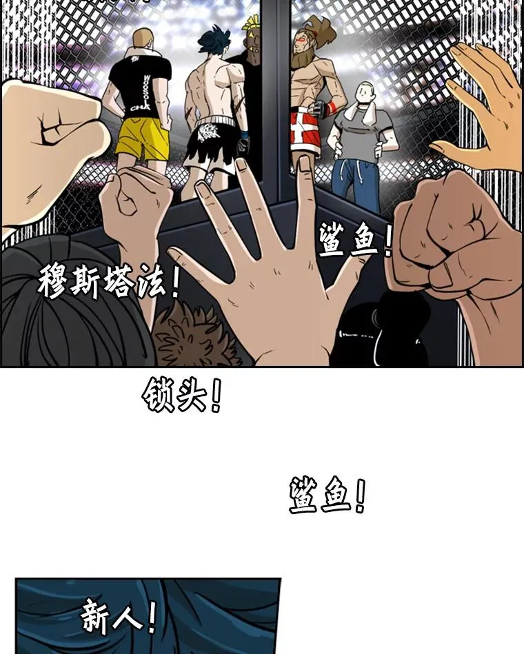 248.TKO胜 第20页
