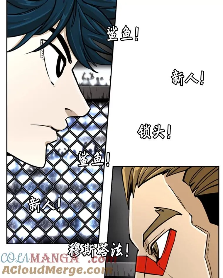 248.TKO胜 第21页