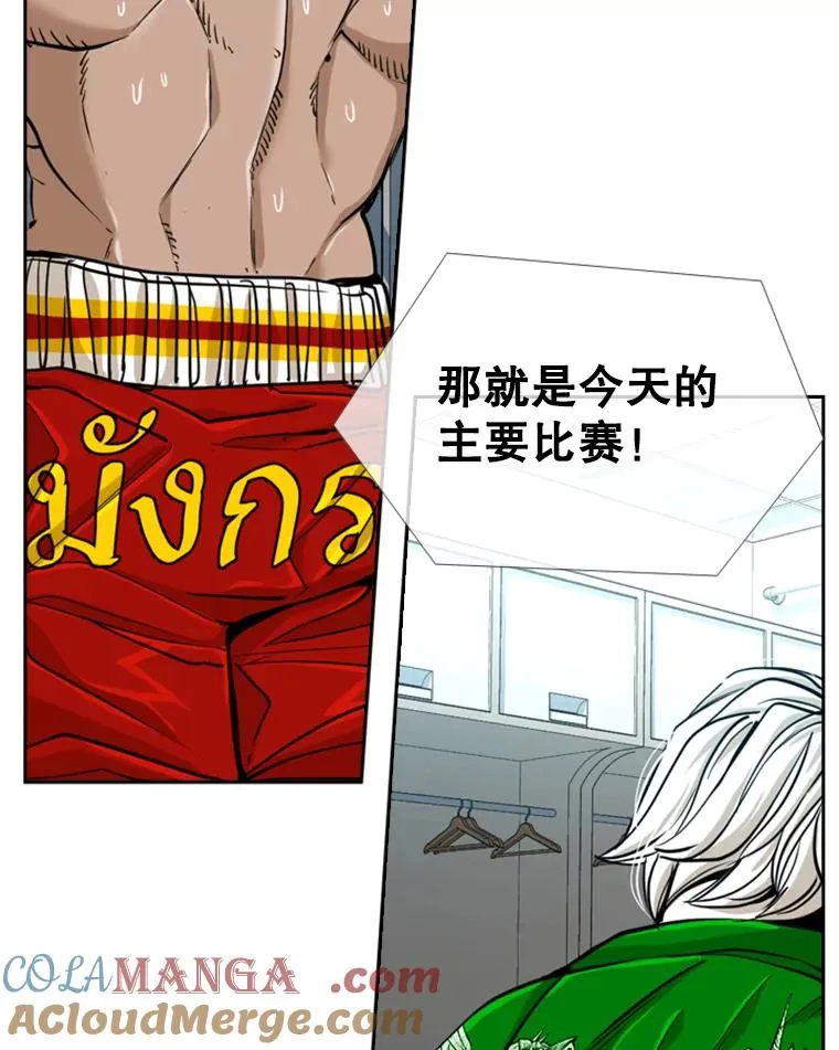 249.二次对战请求 第113页