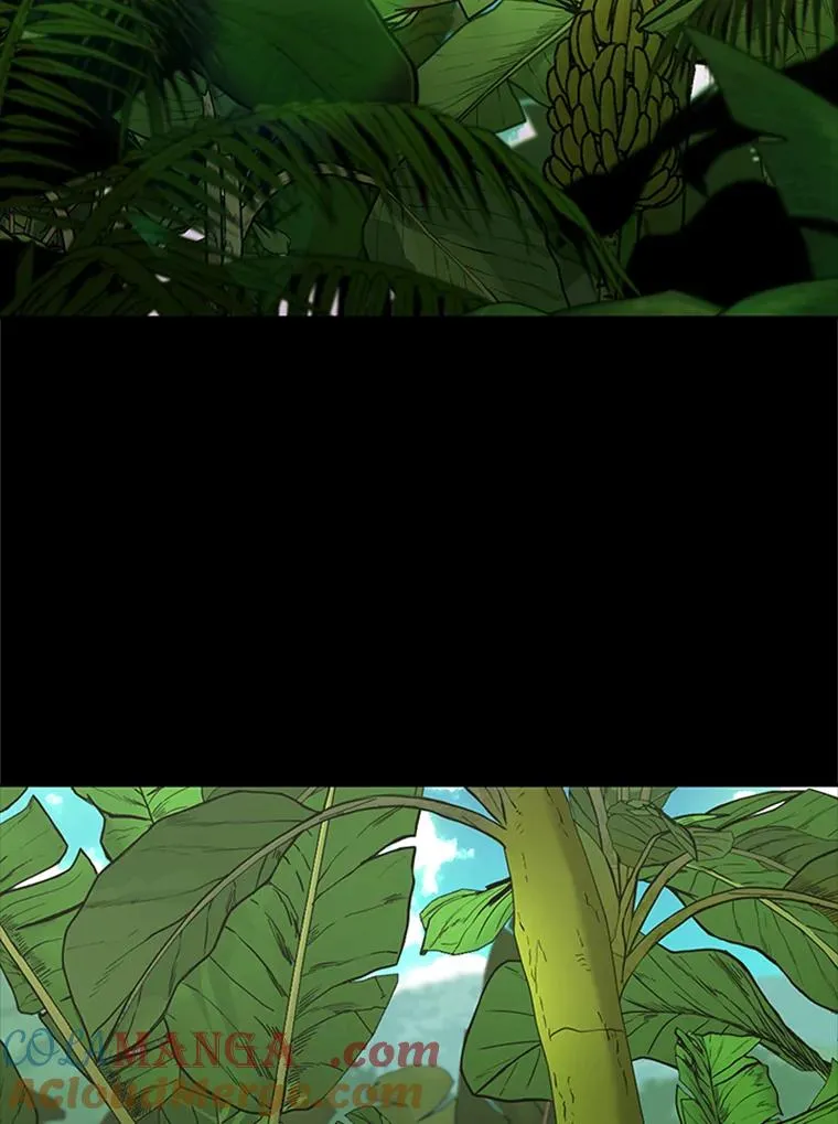 251.风云突变 第13页