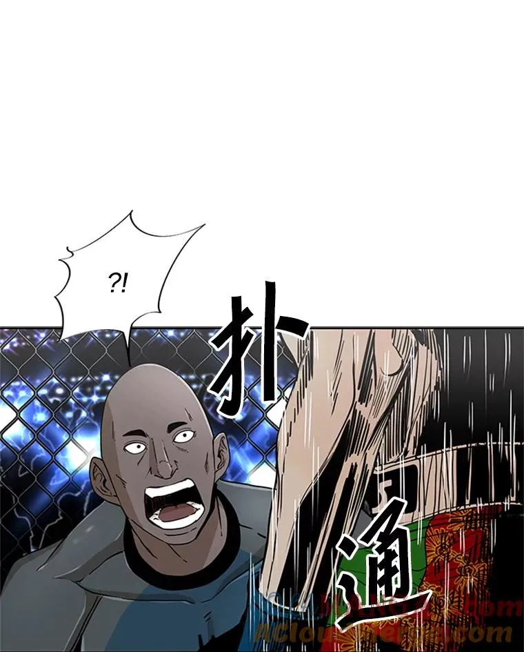 251.风云突变 第117页