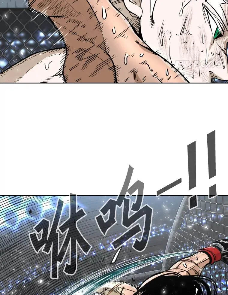 255.反转 第87页