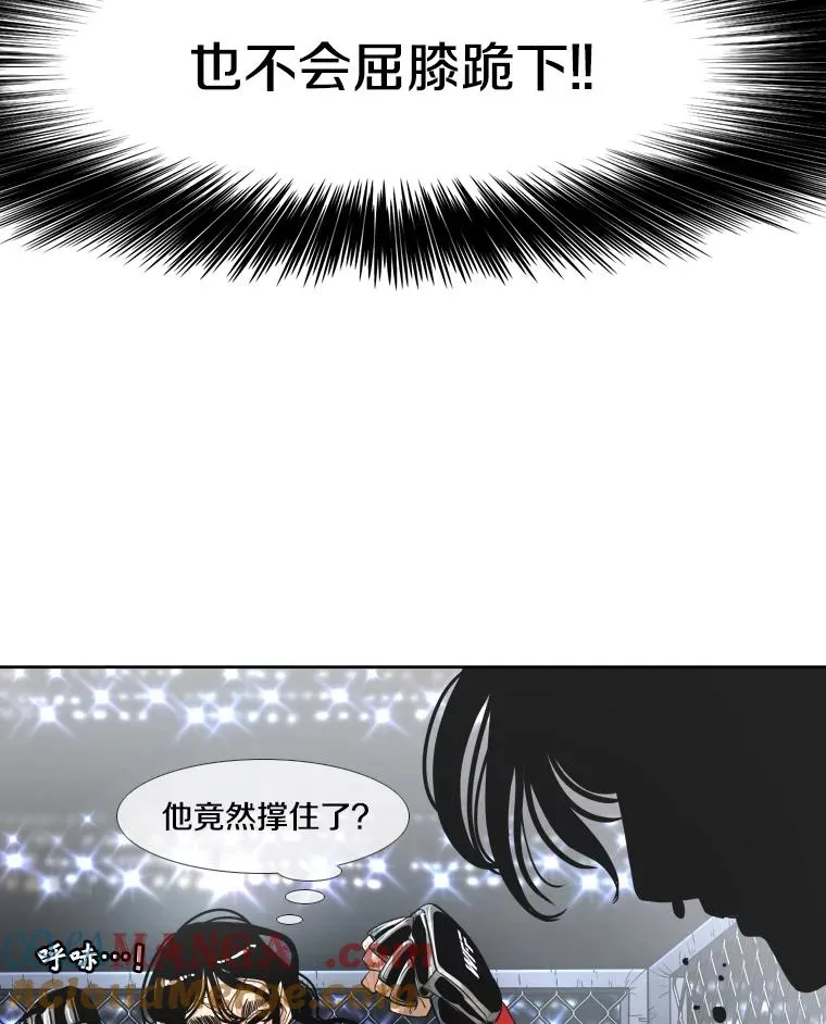 255.反转 第153页