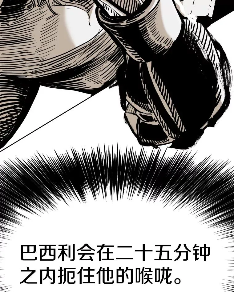 260.巴西利的优势 第96页