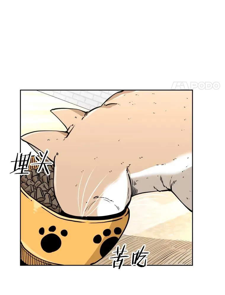 261.古斯塔沃的对战请求 第91页