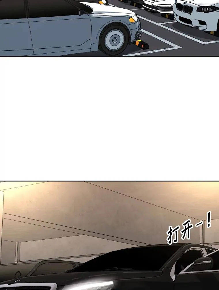 262.与古斯塔沃的对战策略 第96页