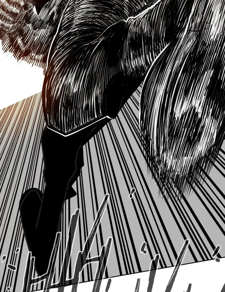 263.古斯塔沃的挑衅 第19页