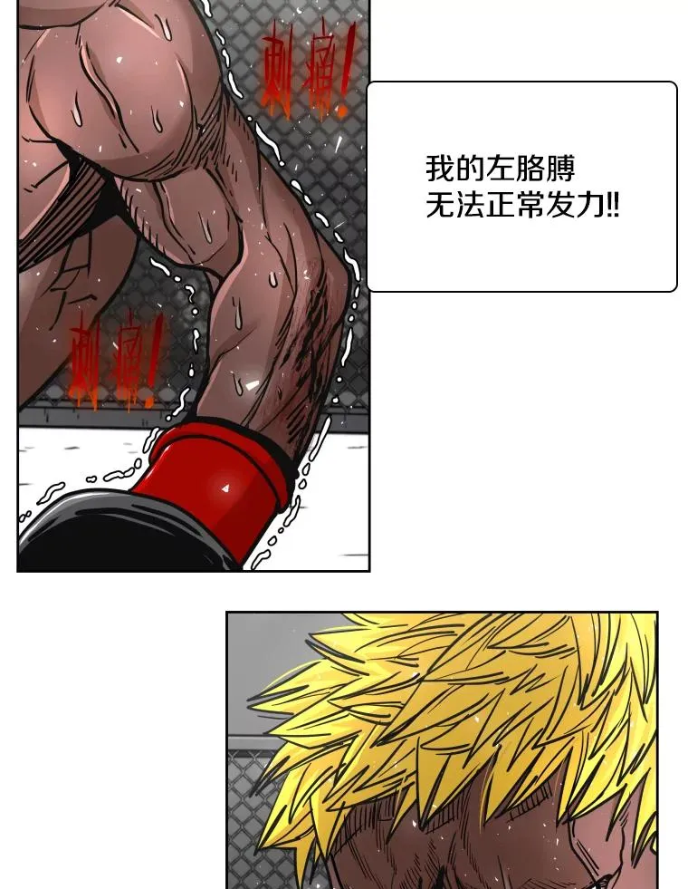 268.芝佳阁对战TKO胜 第39页