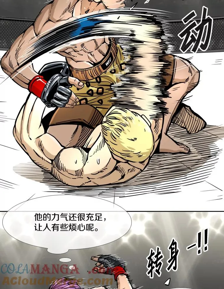 270.捷豹与神盾之战（2） 第17页