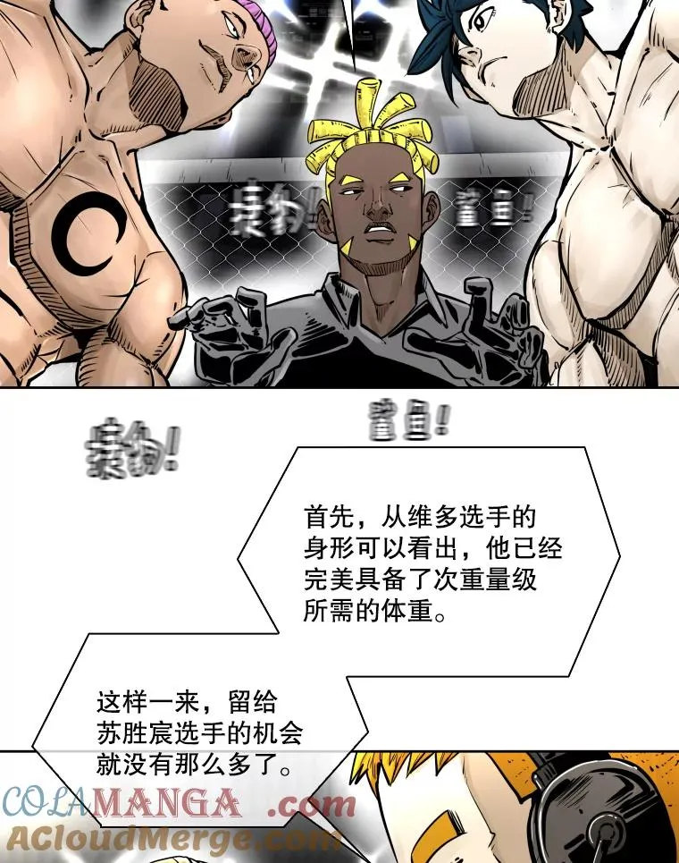 282.与维多之战 第13页