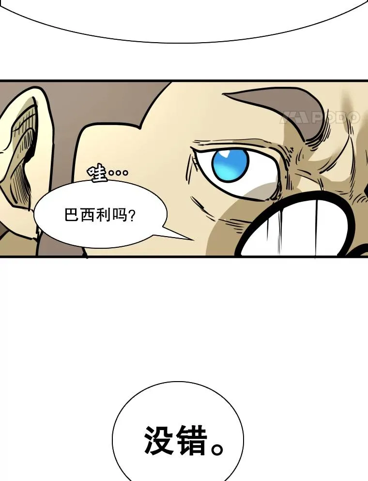 300.巴西利的蜕变 第4页