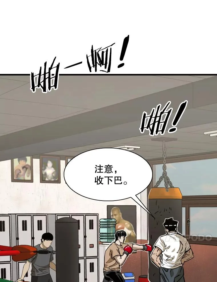 300.巴西利的蜕变 第46页