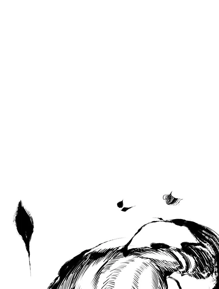 308.巴西利的胜利 第114页
