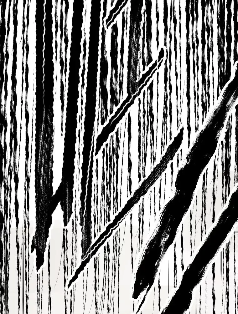 308.巴西利的胜利 第118页