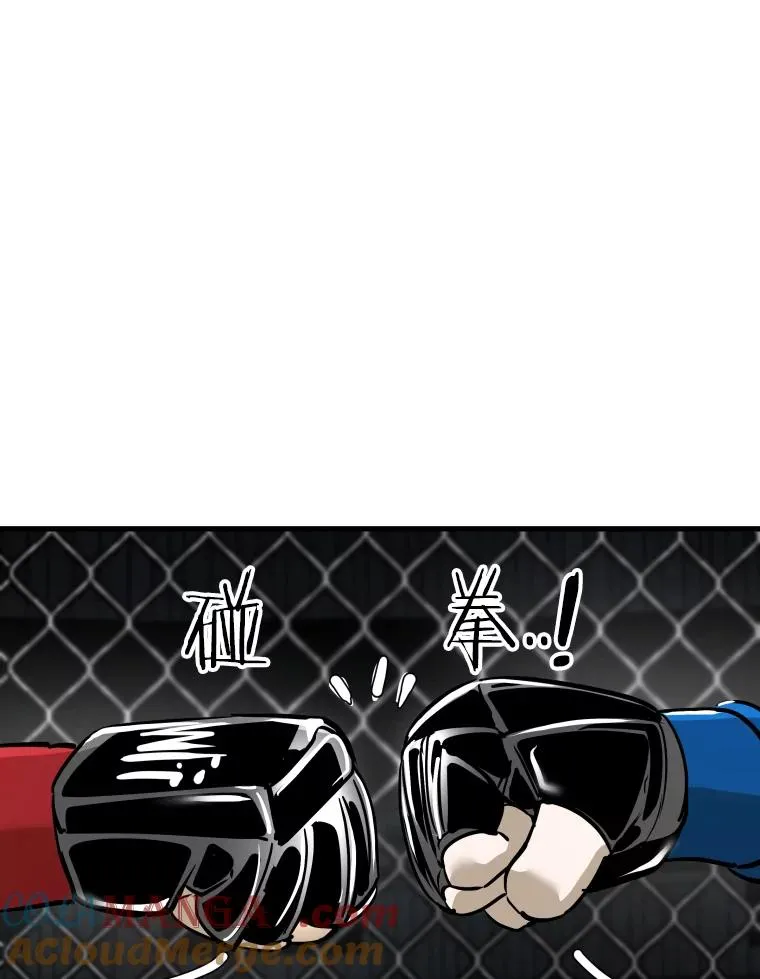 317.要害攻击 第109页