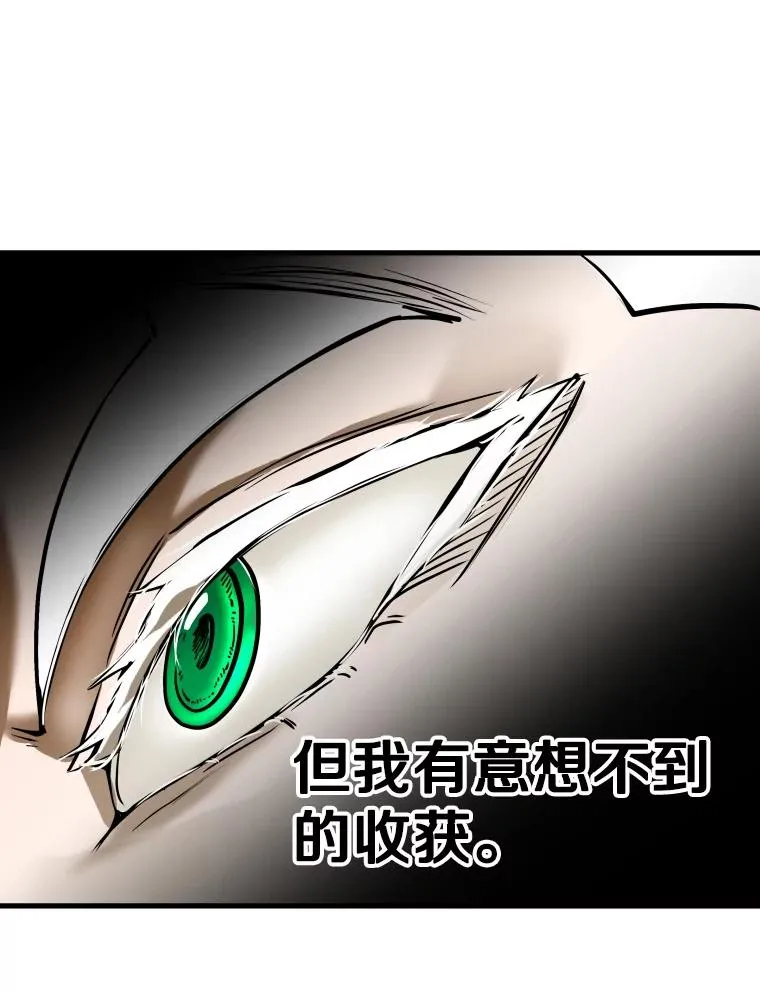 317.要害攻击 第111页