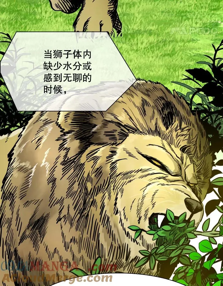 331.寻找合适人选 第41页