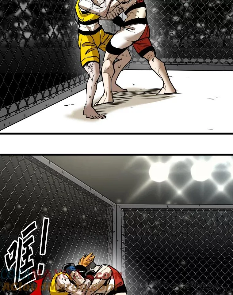 339.险胜 第69页