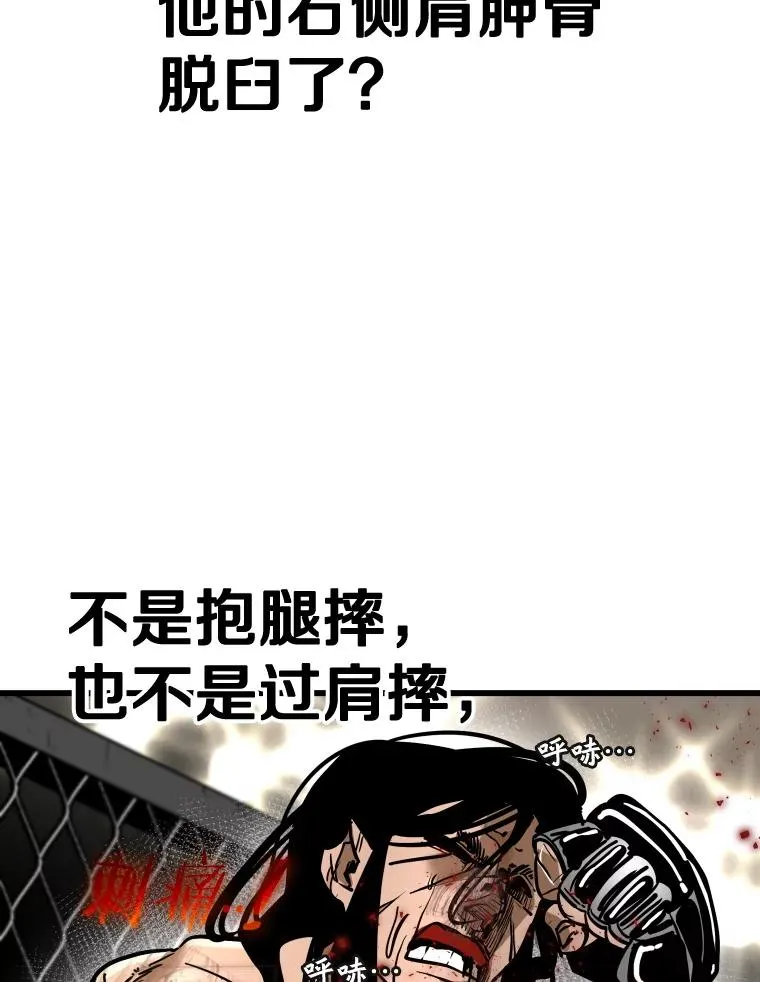 344.来回过招 第24页