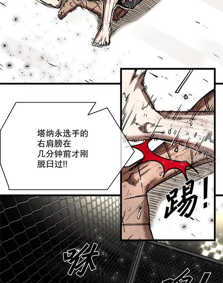 346.TKO胜利 第15页