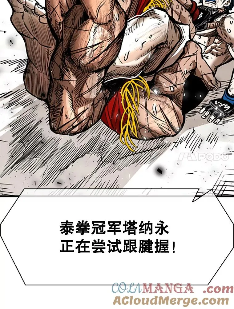 346.TKO胜利 第61页