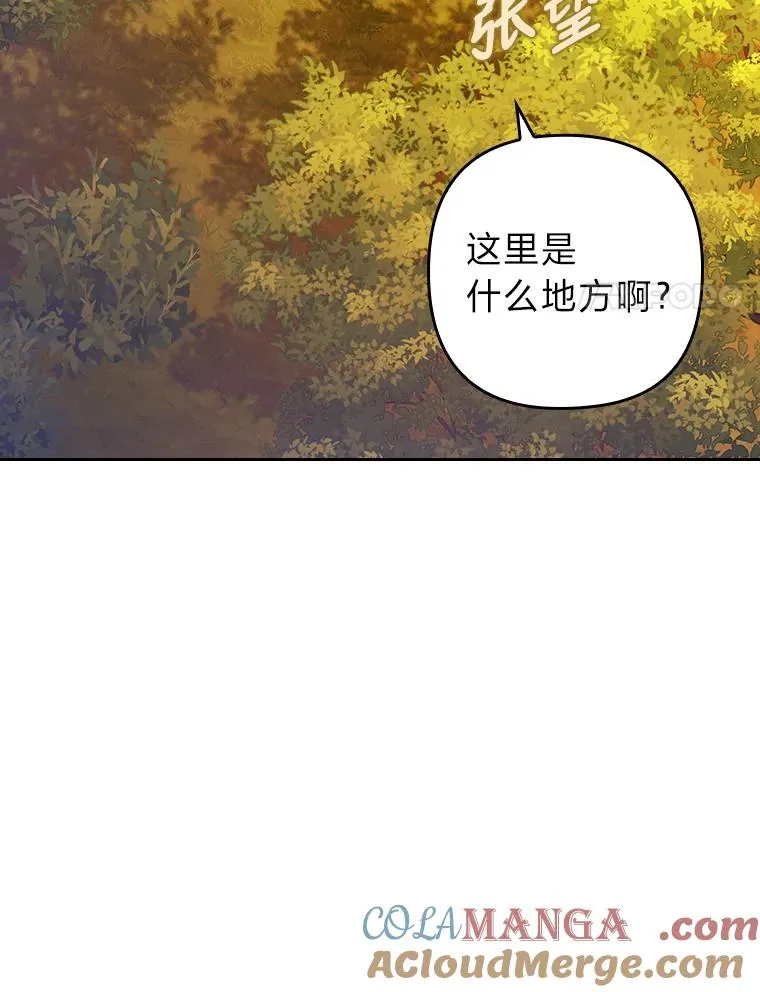 16.倒霉的竟是我 第81页