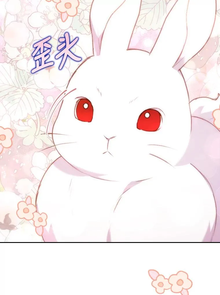 17.剧情上演 第39页