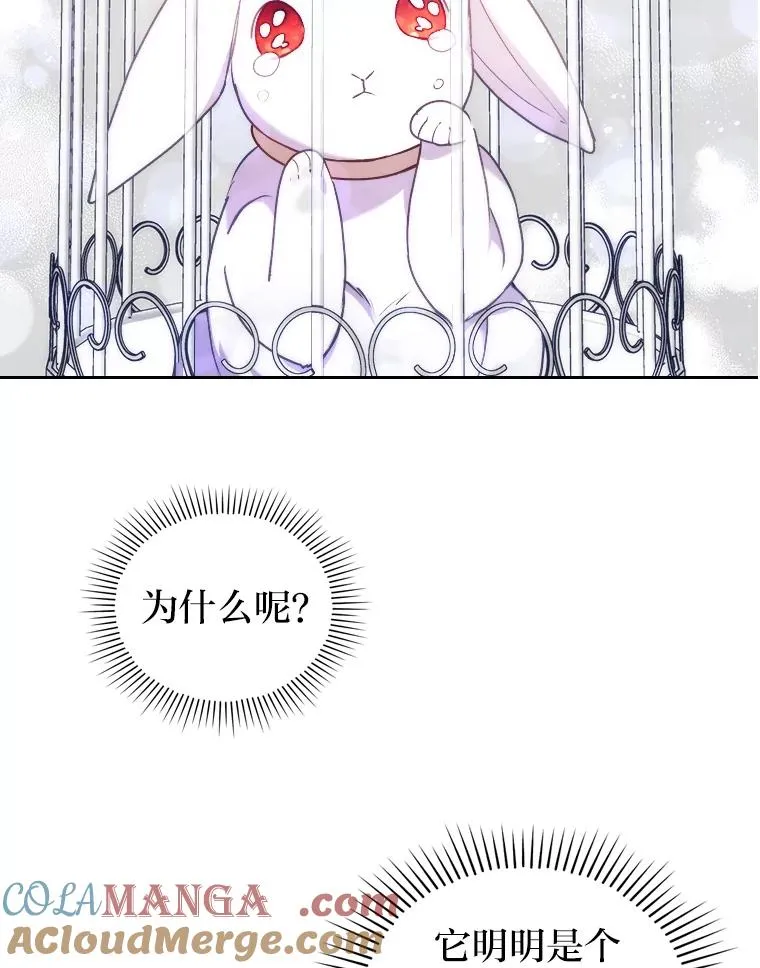 19.重伤的卡西斯 第13页