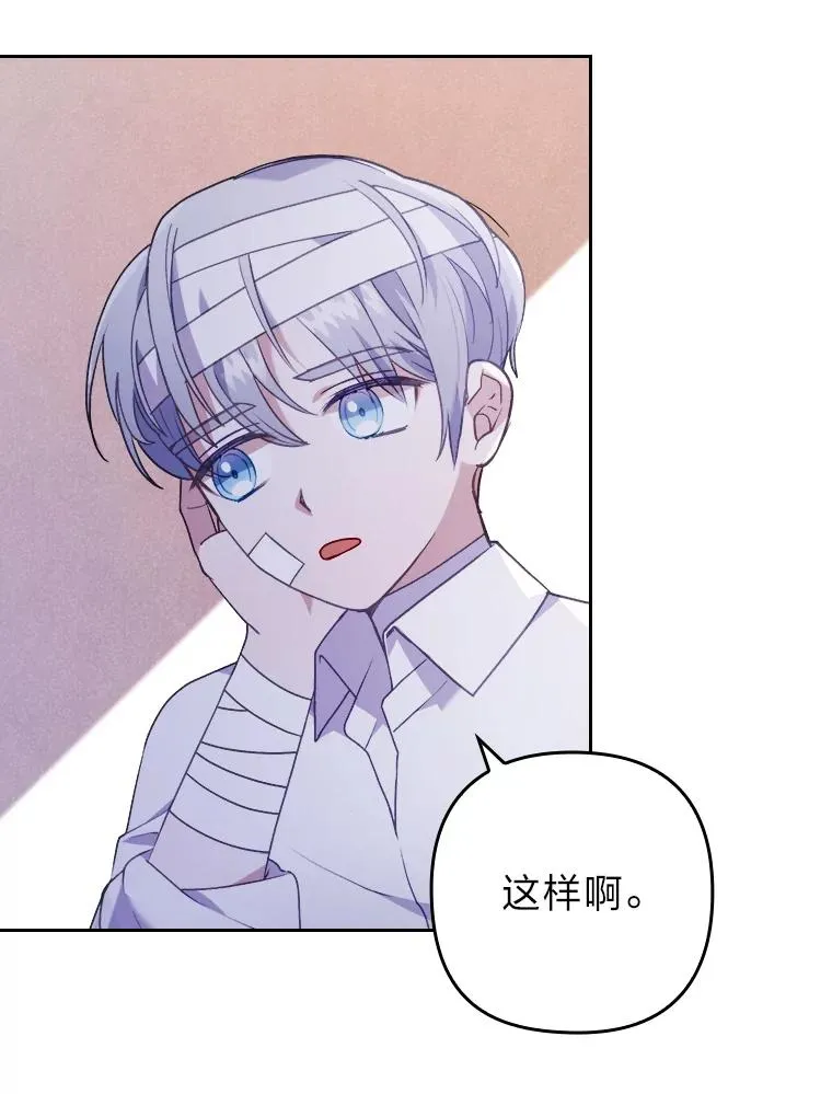 19.重伤的卡西斯 第83页
