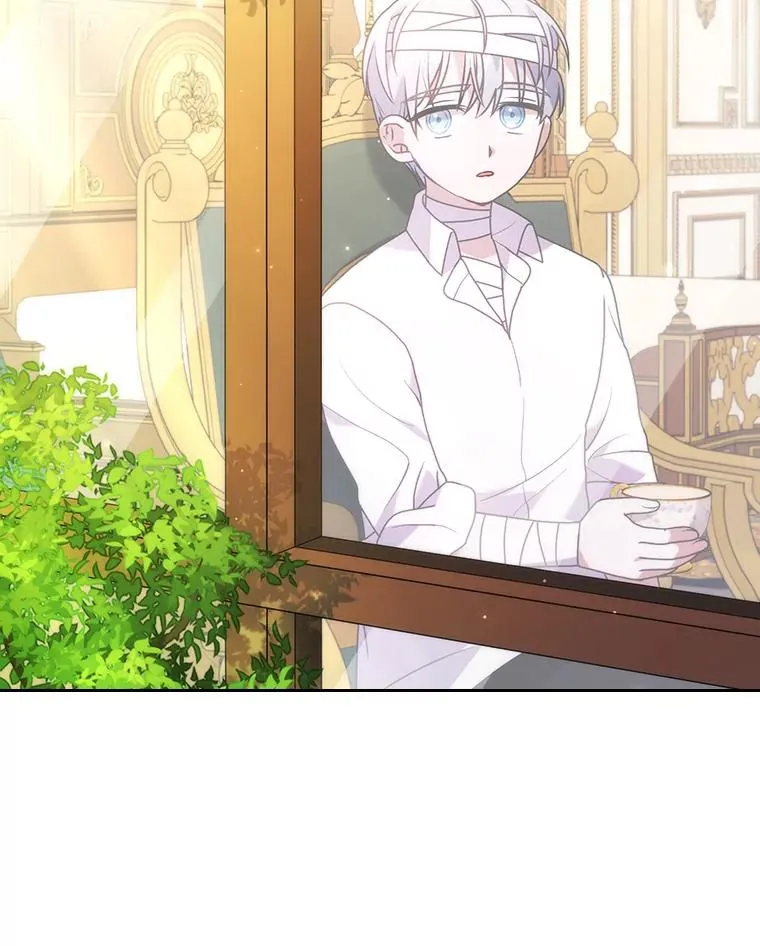 19.重伤的卡西斯 第119页