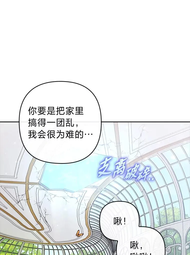 25.豆豆破壳 第65页