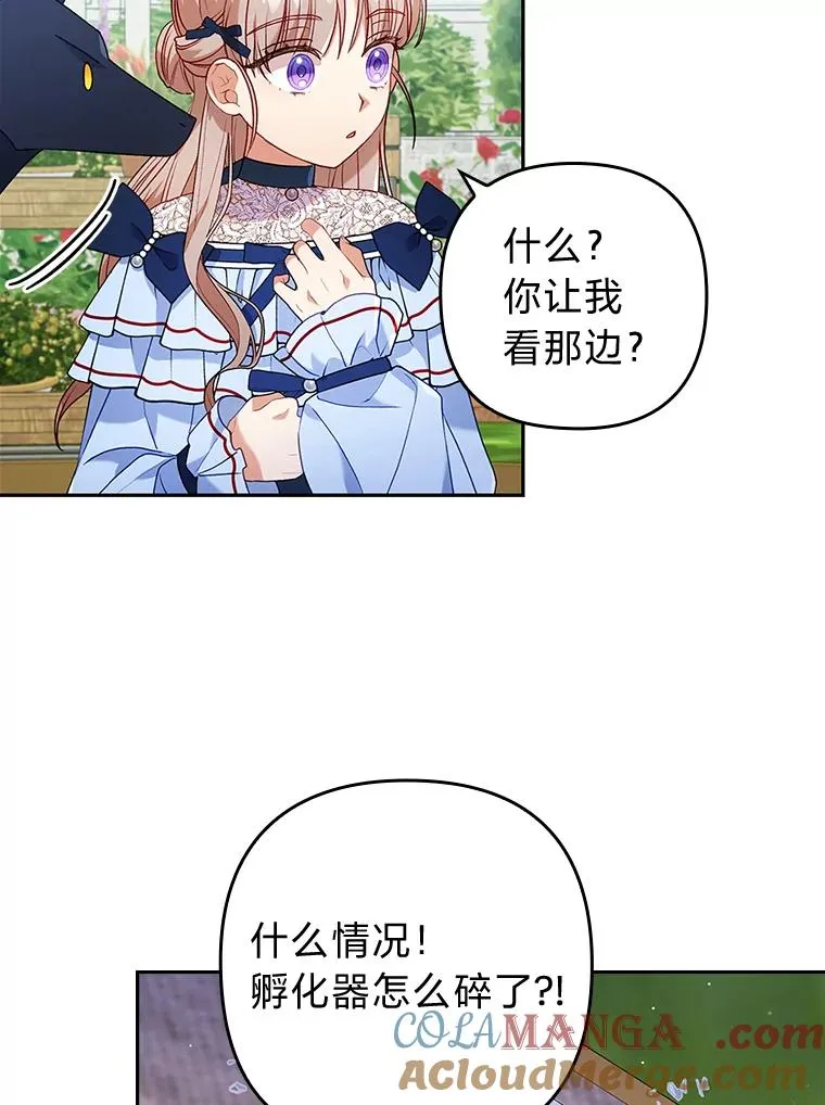 25.豆豆破壳 第73页