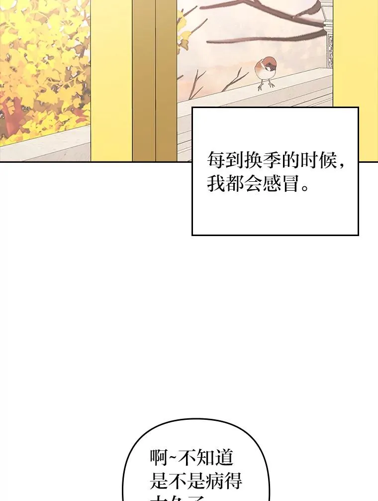 28.公爵夫人的谢礼 第11页