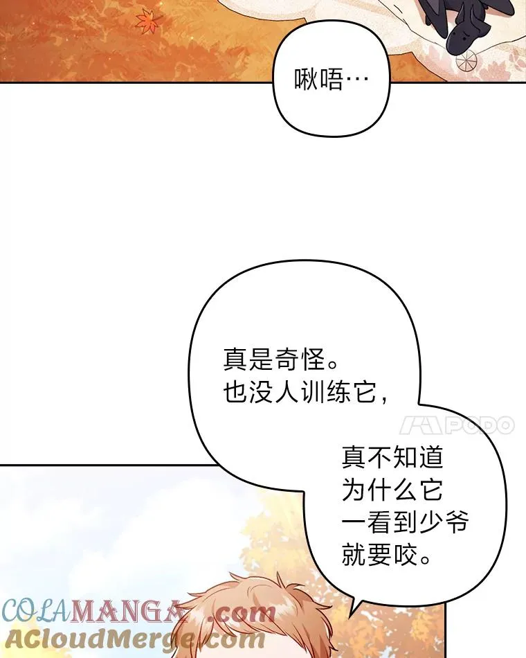 31.秋游 第61页