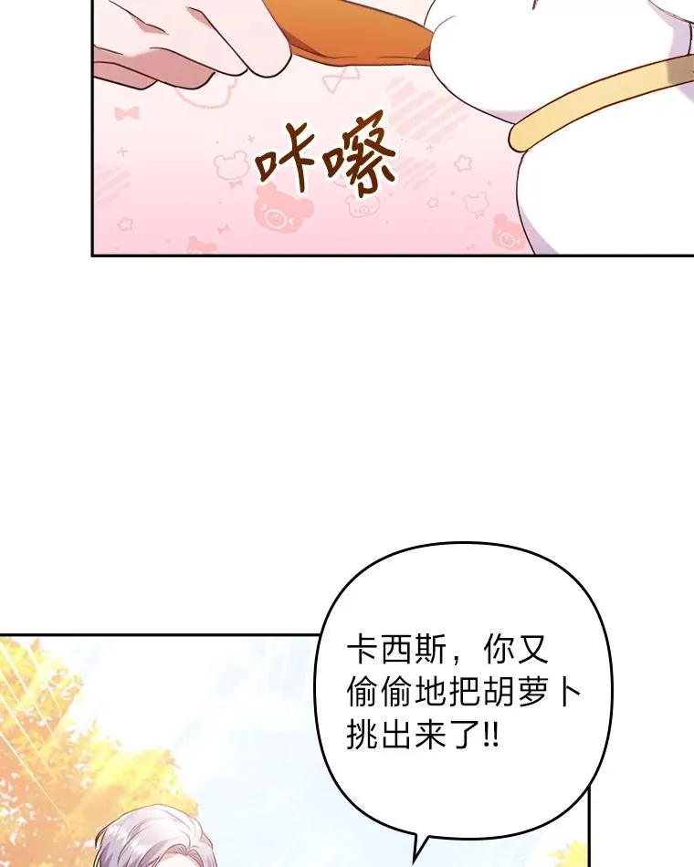 31.秋游 第67页