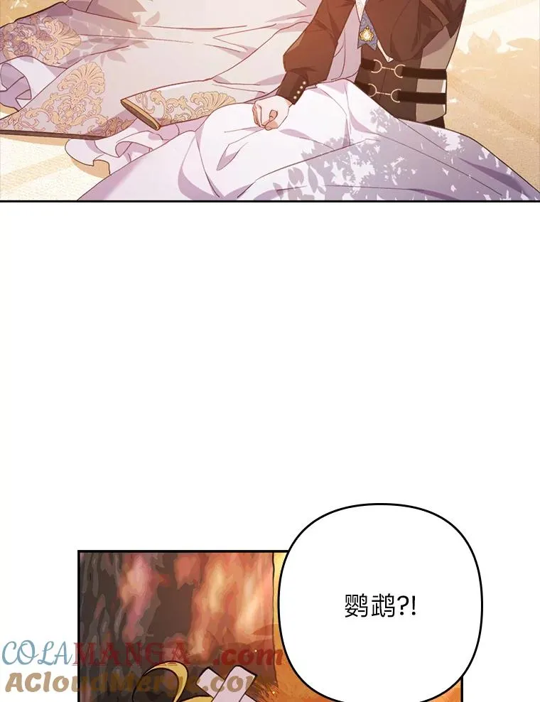 31.秋游 第113页