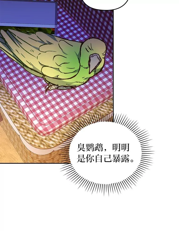 32.冷漠的公爵夫人 第11页