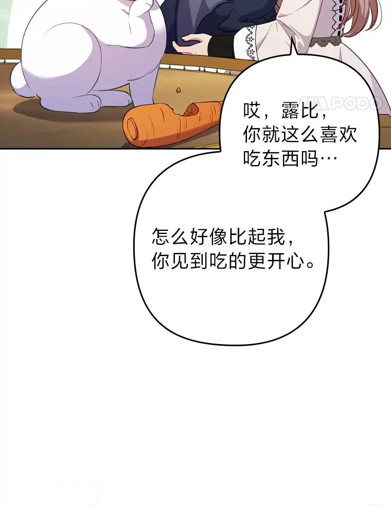 40.投喂人的心酸 第16页