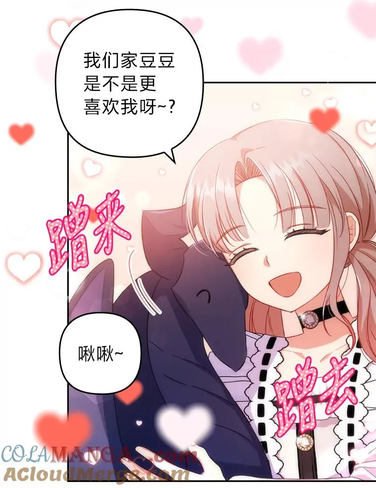 40.投喂人的心酸 第17页