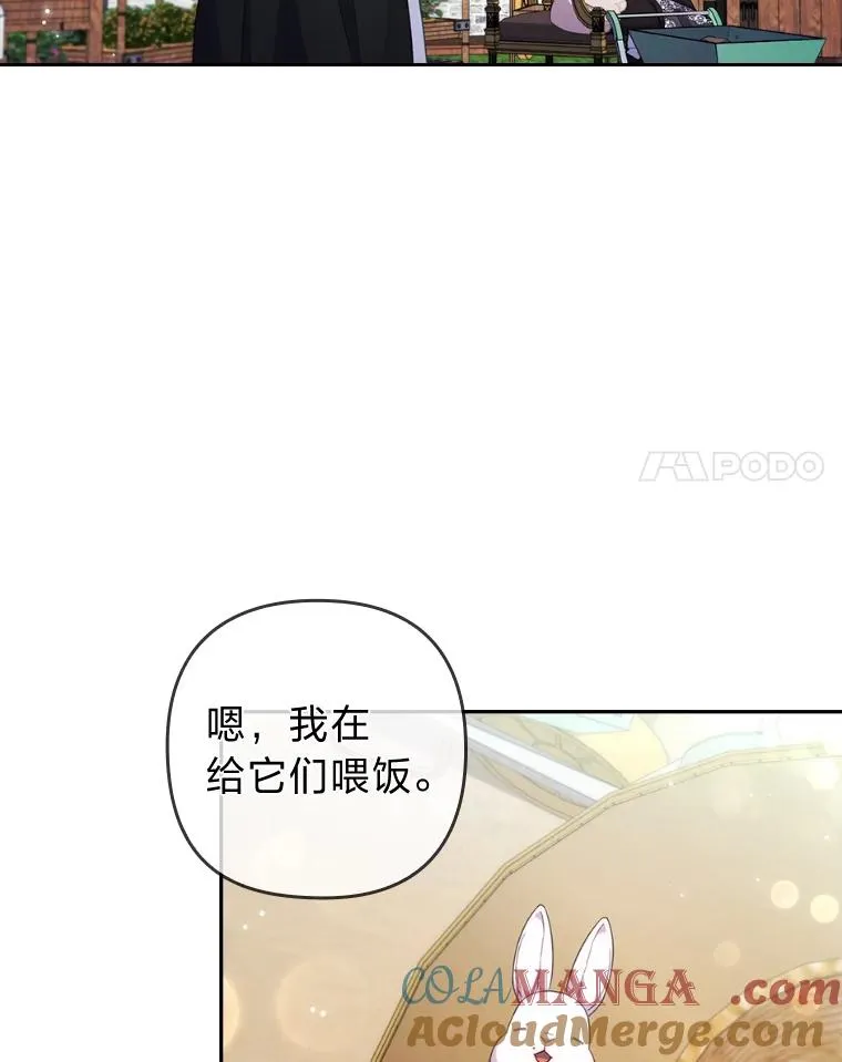 40.投喂人的心酸 第29页