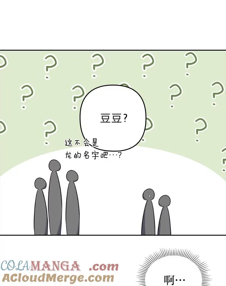 40.投喂人的心酸 第81页