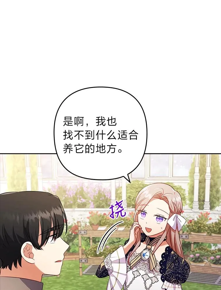 41.爱龙狂粉 第40页