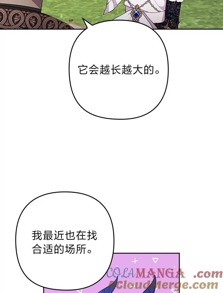 41.爱龙狂粉 第41页