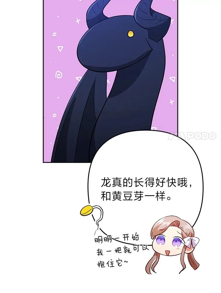 41.爱龙狂粉 第42页