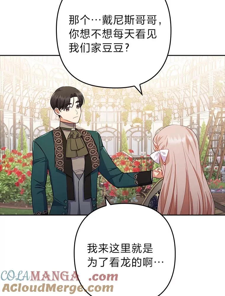 41.爱龙狂粉 第49页