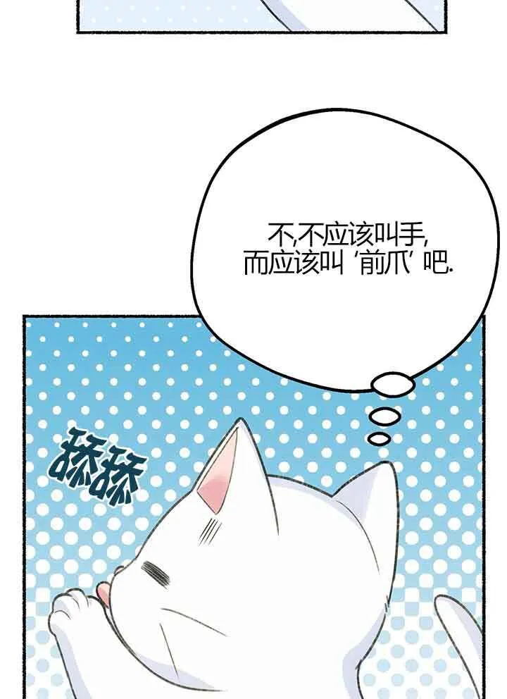 第01话 第41页