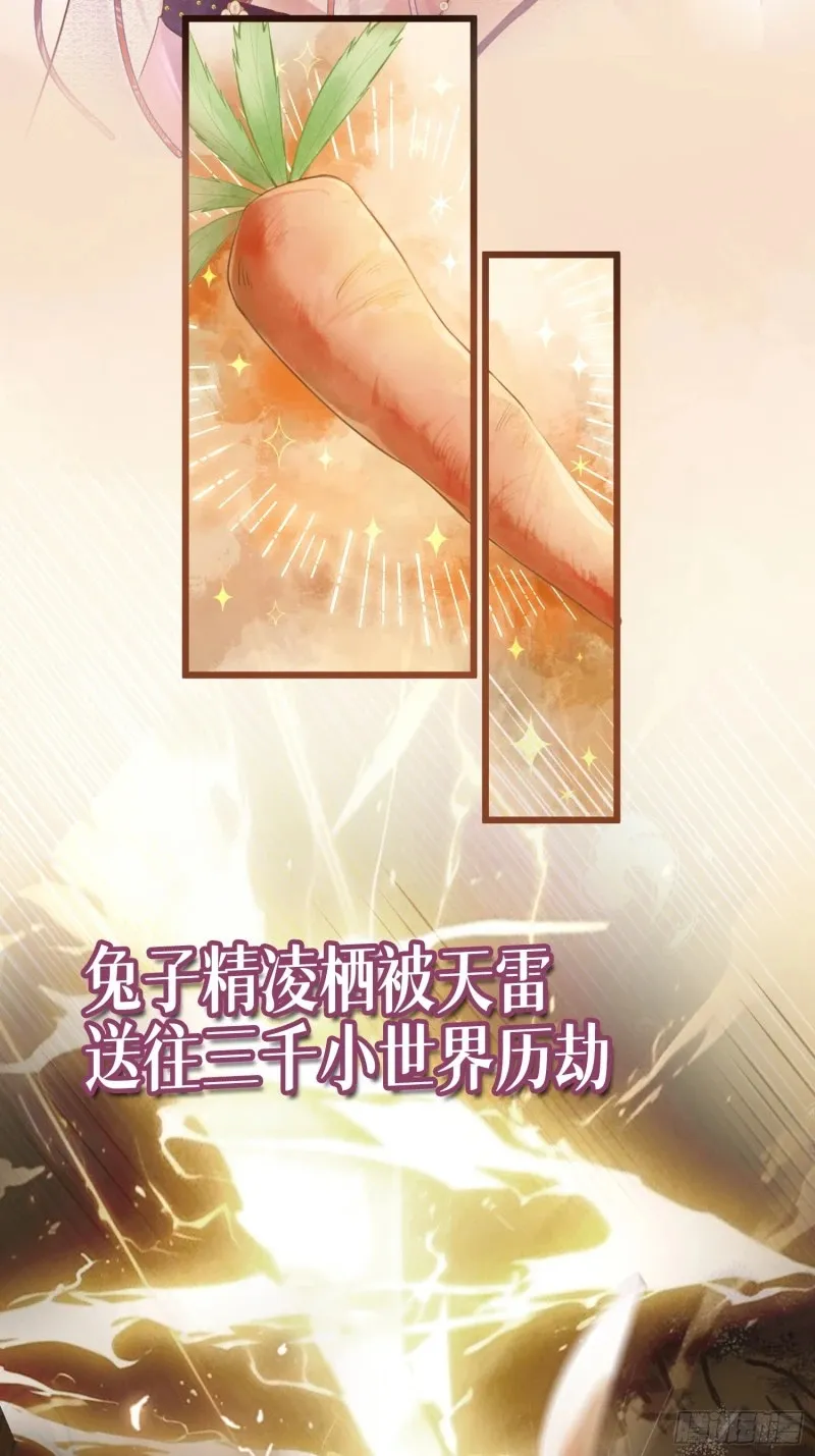 预热：怂萌兔子精vs白切黑抖S 第2页