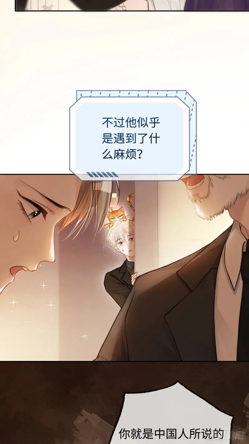 04 兔子本体暴露了！ 第12页
