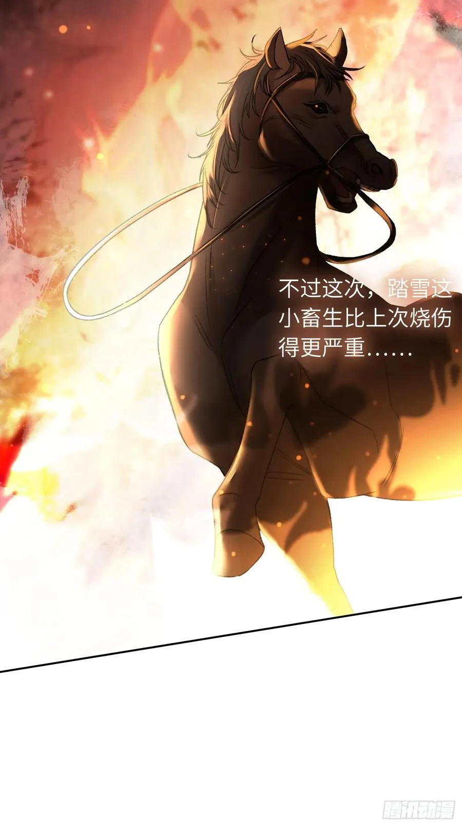 22 宠兔是一种本能 第11页