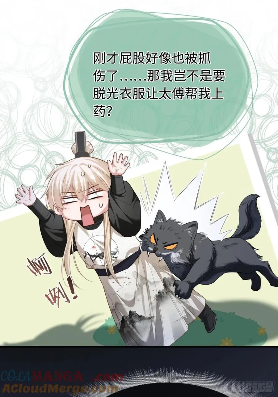 31 太傅的“可怜攻击” 第9页